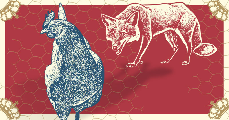Blue Hen with fox behind Illustration of a Blue Hen with a Fox lurking in the shadows