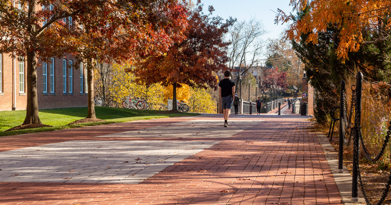 OCM - Fall Campus - 11.9.20 OCM - Fall Campus - 11.9.20