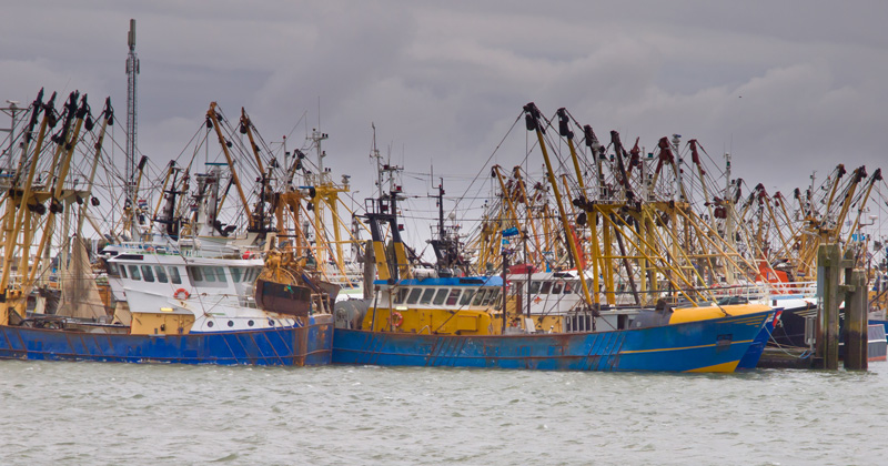 624744694 Fishing boats are waiting for the weather to clear up in a dutch harbor