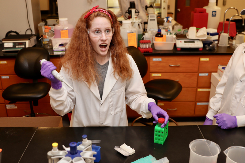 2019-05-30__CANR_ANFS_One-Health_Arsenault-Lab Casey Johnson in Ryan Arsenault research lab. Research focus: Study of gut health and disease pathogenesis using molecular proteomic and kinomic techniques. Current projects involve, immune development, antibiotic alternatives, and viral/bacterial infections.