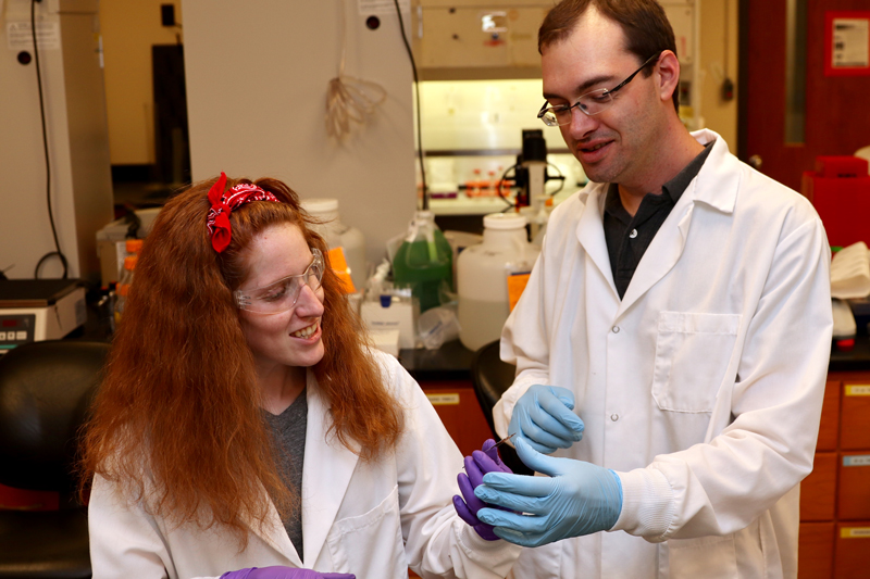 2019-05-30__CANR_ANFS_One-Health_Arsenault-Lab Casey Johnson in Ryan Arsenault research lab. Research focus: Study of gut health and disease pathogenesis using molecular proteomic and kinomic techniques. Current projects involve, immune development, antibiotic alternatives, and viral/bacterial infections.