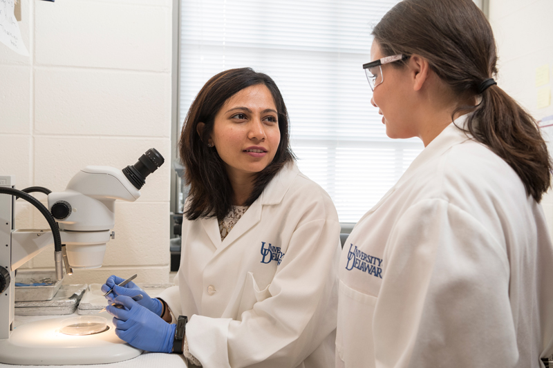 Graduate and undergraduate mentoring in Dr. Salil Lachke’s lab in Wolf Hall. Graduate students Shaili Patel and Bailey Weatherbee talk about research in the lab.