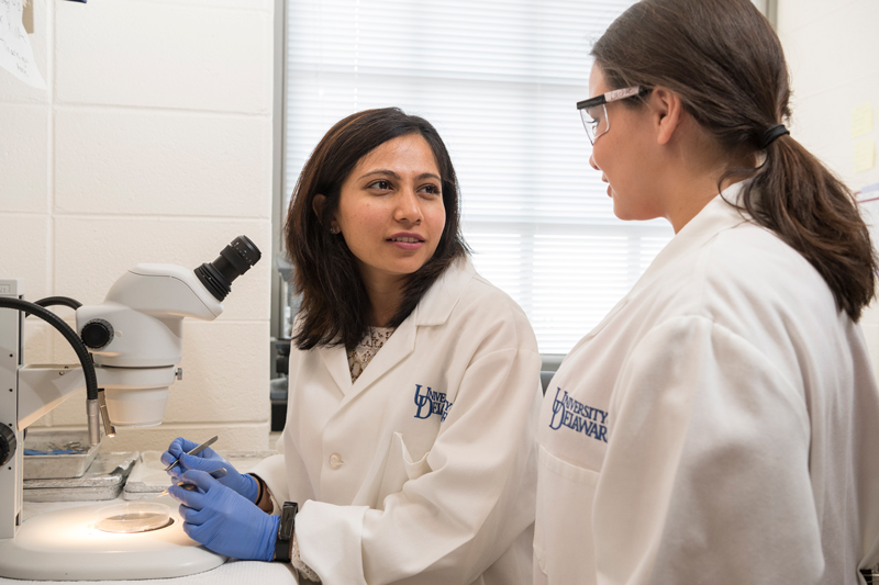 Graduate & Undergraduate Mentoring in Salil Lachke's Lab Graduate and undergraduate mentoring in Dr. Salil Lachke’s lab in Wolf Hall. Graduate students Shaili Patel and Bailey Weatherbee talk about research in the lab.