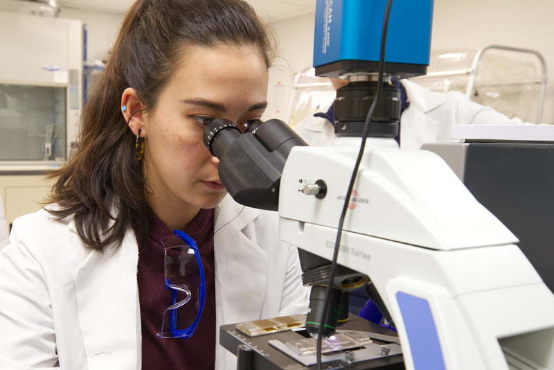 Graduate students Alexa Johnson and Gisselle Garcia and undergraduate Ariel Strouse working on research with Dr. Amy Biddle in ANFS.