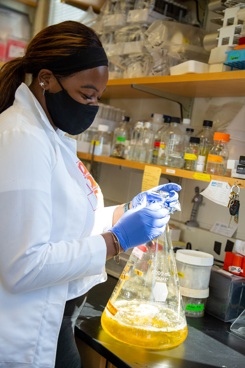 Medical and Molecular Sciences students participate in a bootcamp to practice skills in their labs in Willard. 