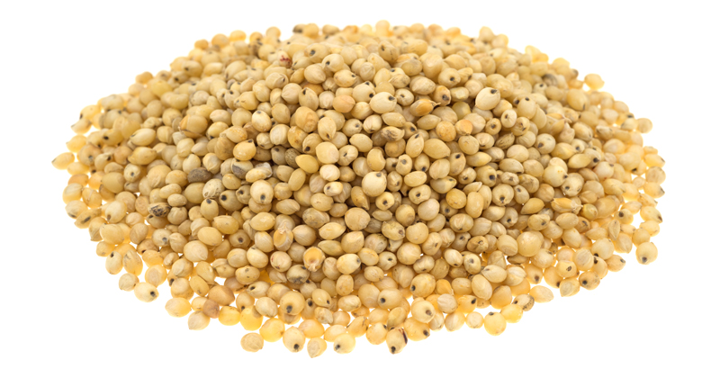 A portion of whole grain organic sorghum seeds isolated on a white background.