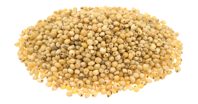 529070366 A portion of whole grain organic sorghum seeds isolated on a white background.