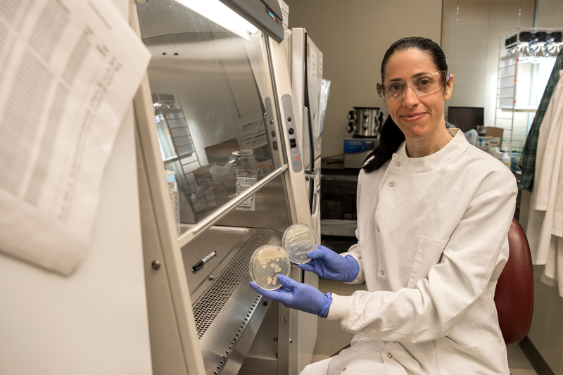 Amanda Rosier, one of our DENIN Fellows, in her laboratory where she does research with Harsh Bais on plant root microbes.