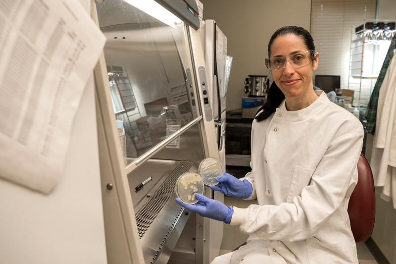 Amanda Rosier - DENIN Fellow Amanda Rosier, one of our DENIN Fellows, in her laboratory where she does research with Harsh Bais on plant root microbes.