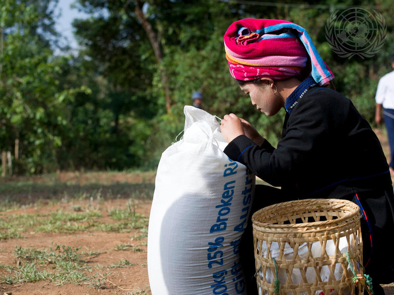 A villager in Kyauk Ka Char, in Myanmar’s Shan State, unloads a bag of rice provided by the World Food Programme (WFP). Secretary-General Ban Ki-moon visited the area, which receives assistance from both WFP and the UN Office on Drugs and Crime (UNODC) as part of an effort to address the problems of food insecurity and opium poppy cultivation.