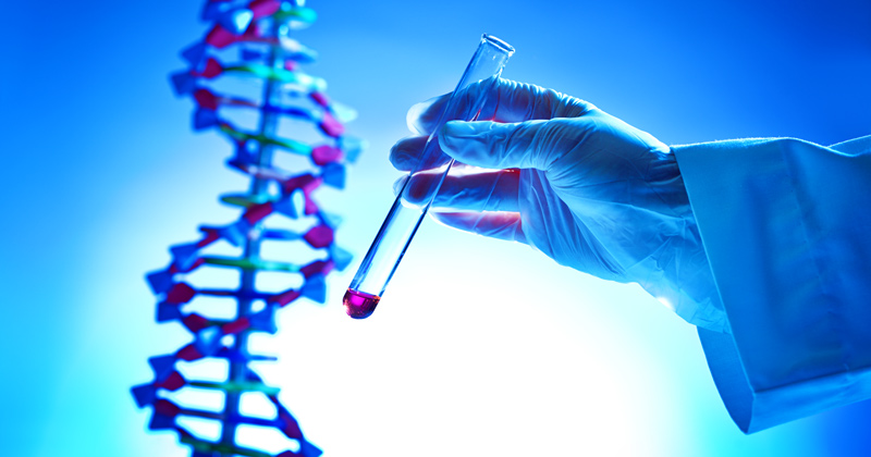 Close-up of a hand holding a chemistry test-tube with a chemical solution in a bio-chemistry DNA genetic research laboratory, GMO, human, animal, plants genetics research.