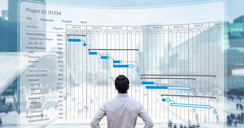 Back of man looking at project management life cycle chart