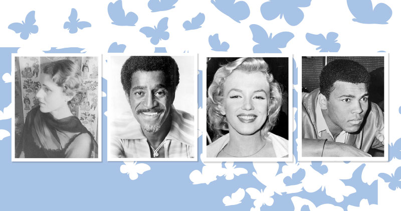 Controversial conversions image of butterliies with famous people on top