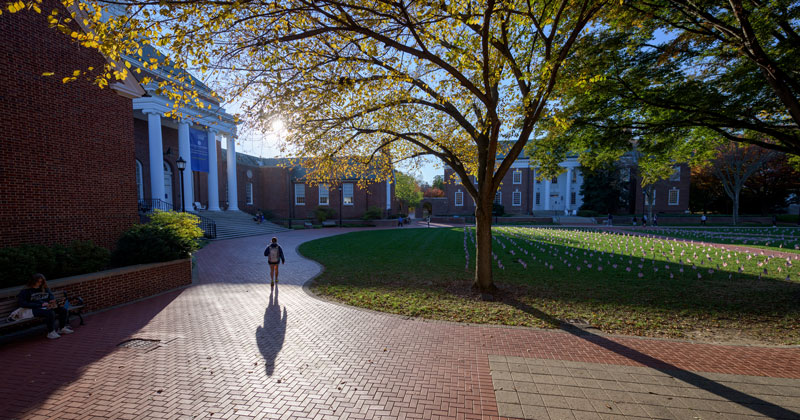 Campus-Fall-111021