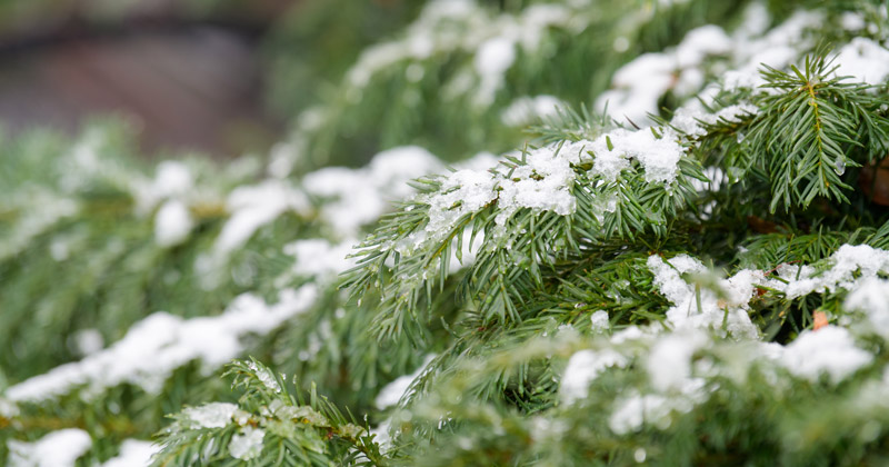 Campus-Winter-010820