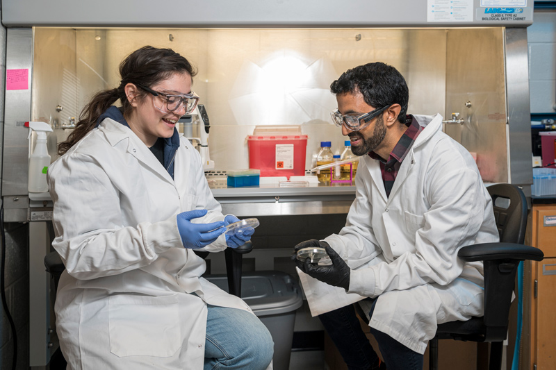 Doctoral student Michaela Jones works with professor Anitya Kunjapur to study potential safeguards for the release of engineered microbes as a biocontainment of microbes. 