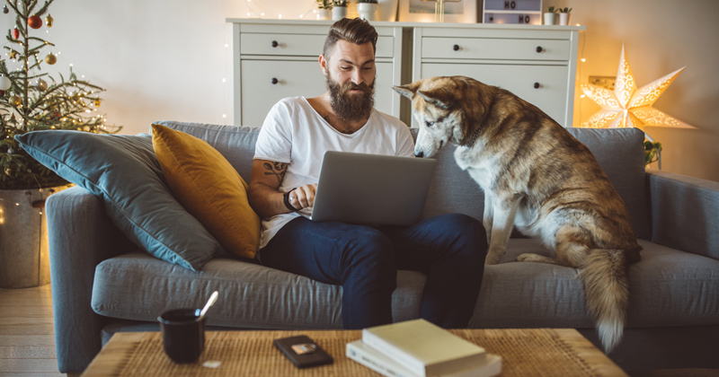 Young men celebrating Christmas at home, he sitting on bed and using laptop. Home is decorated with Christmas ornaments and lights. Dog is with him