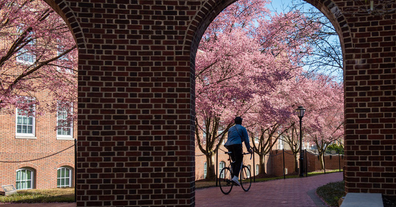 Campus-Spring-KD-030920 Campus-Spring-KD-030920