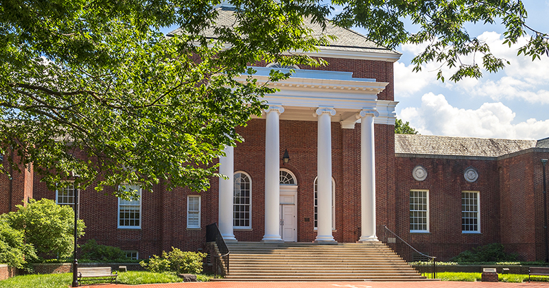 Summer campus on The Green. 