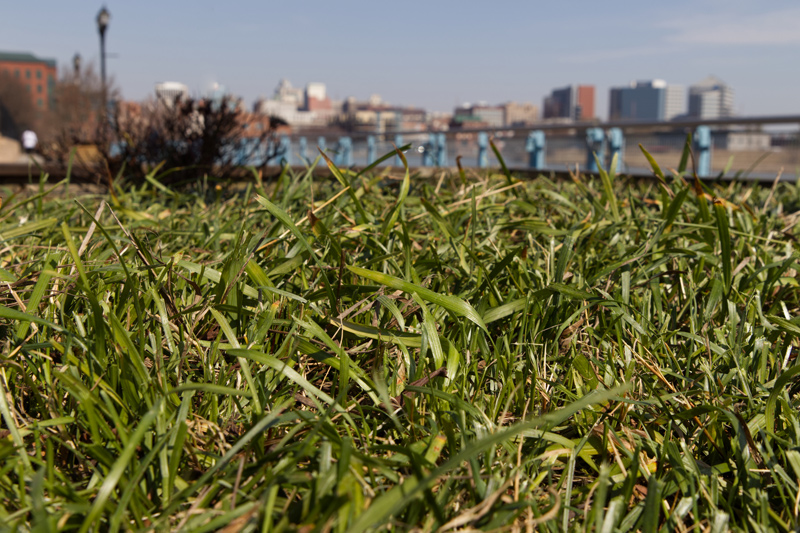 Dr. Rodrigo Vargas is a coauthor on two papers researching the carbon emissions from lawns in cities. The work was done in the Baltimore Maryland area.