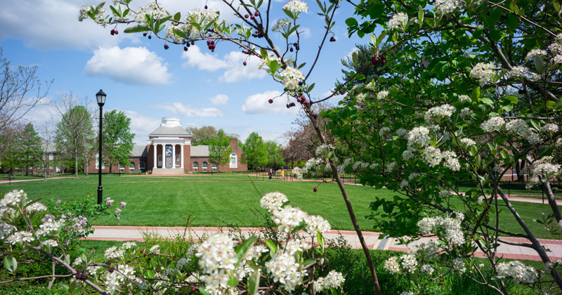 Campus-043021 The South Green