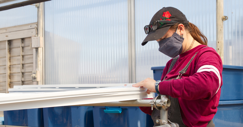 CANR_PLSC367_Hydroponic-Food-Production_Qingwu-Meng_092421