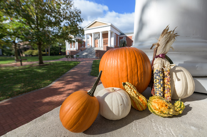 OCM-Fall_Gourds-102721 OCM-Fall_Gourds-102721