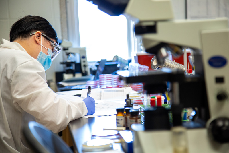 Medical and Molecular Sciences students participate in a bootcamp to practice skills in their labs in Willard. 