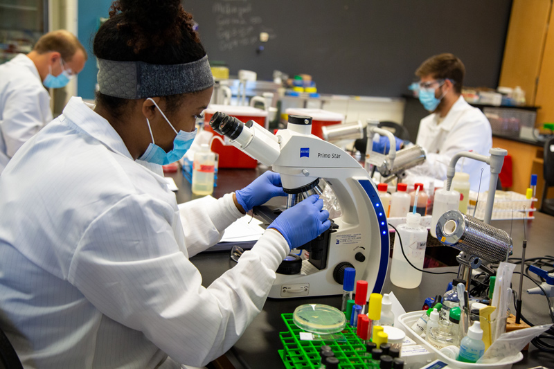 Medical and Molecular Sciences students participate in a bootcamp to practice skills in their labs in Willard. 