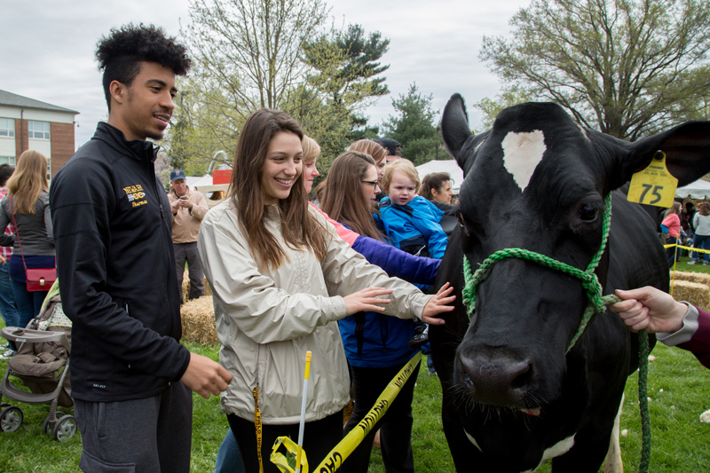  The Animal Science tent always ranks among attendees’ favorite spots at Ag Day.