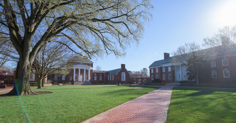 UD campus in spring