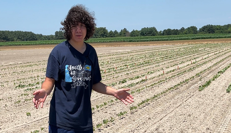 The lawn at Doll’s “home away from home,” at the UD’s Carvel Research and Education Center in Georgetown are actually fields of newly hand-planted lima bean varieties. 