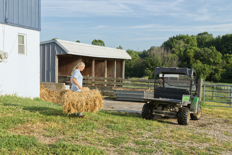 Agriculture and natural resources major Tessa McDonough applies her coursework to her job on UD’s Webb Farm.