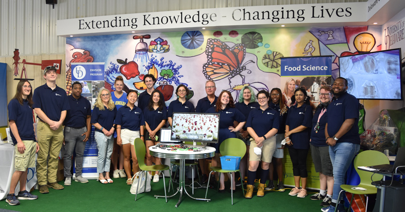 In UD’s Envision program, interns develop and test their own hypotheses and work with faculty to tackle pressing challenges in animal health, nutrient management, food microbiology and more. At the end of the summer, the group presents the research to the public at the Delaware State Fair.