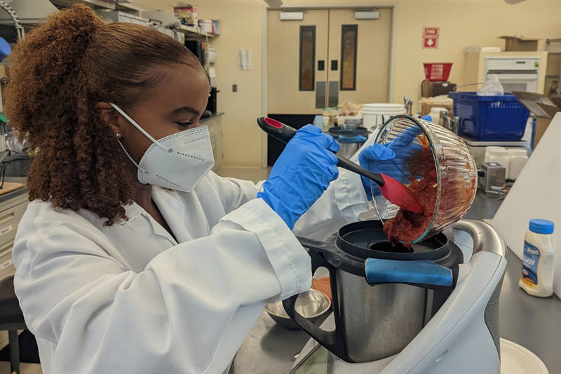 Tankard completes benchtop work to create innovative sauces toward her summer project in the Kraft Heinz Research and Development Office in Glenview, Illinois. Tankard completes benchtop work to create innovative sauces toward her summer project in the Kraft Heinz Research and Development Office in Glenview, Illinois.