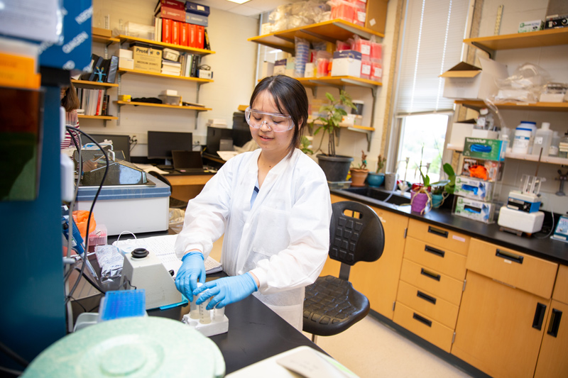 Wendy Zhao, a rising senior medical diagnostics major received the Angela Santoro ’05 Research Award and spent her summer studying HPV with Sam Biswas, professor of medical and molecular sciences.