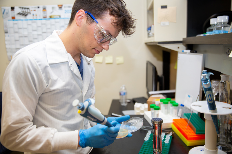 Miguel Prysakar, a rising junior medical diagnostics pre-physician assistant major, was a recipient of the Angela Santoro ’05 Research Award and spent his summer researching anti-infectives to fight superbugs with Vijay Parashar, assistant professor of medical and molecular sciences. Miguel Prysakar, a rising junior medical diagnostics pre-physician assistant major, was a recipient of the Angela Santoro ’05 Research Award and spent his summer researching anti-infectives to fight superbugs with Vijay Parashar, assistant professor of medical and molecular sciences.