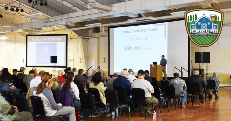 Mark VanGessel, professor and Extension specialist weed science and crop management, teaches a session at the 2019 Delaware Ag Week.