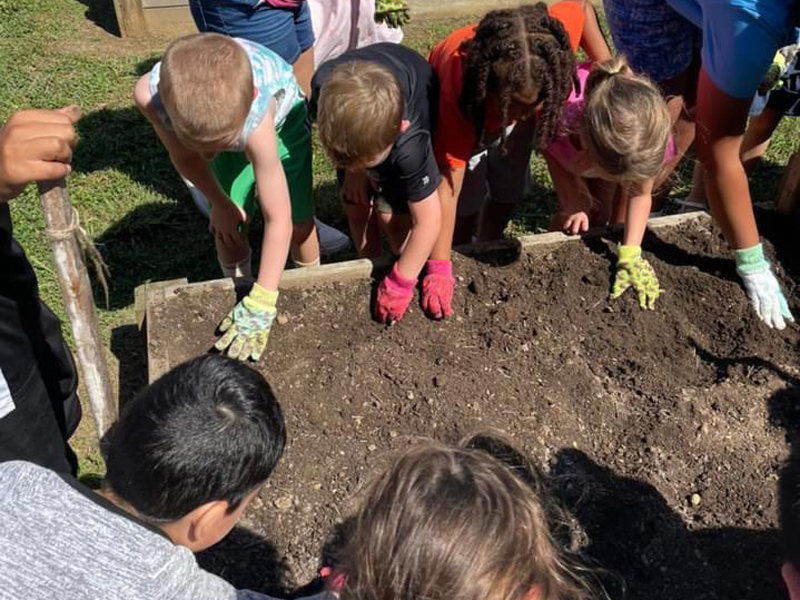 Students and teachers at Cooke Elementary in the Red Clay School District plant seeds in their new raised bed garden.