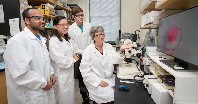 CAS-BIO-Duncan_Lab-100318 Professor Melinda Duncan and her team involved in cataract research.