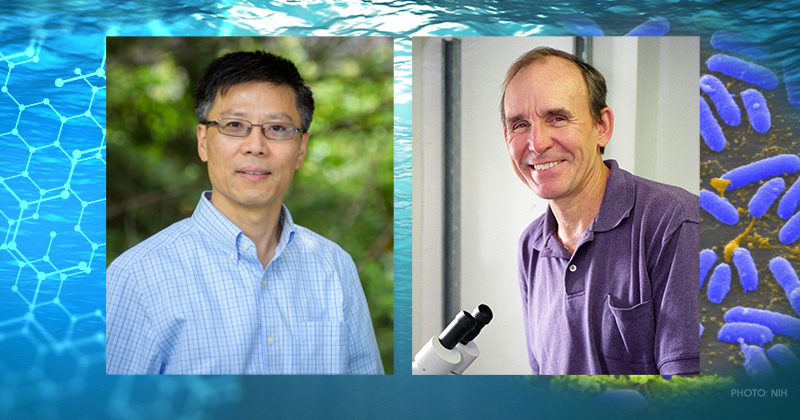 UD marine scientists Wei-Jun Cai (left) and David Kirchman have been elected fellows of the American Association for the Advancement of Science, the world’s largest general scientific society, founded in 1848.