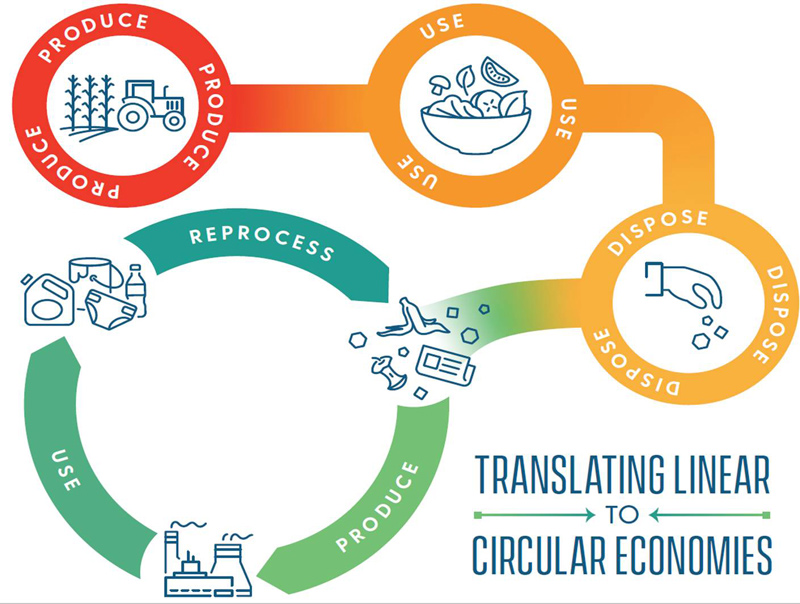 This graphic illustrates the flow of a "circular economy," as opposed to the "linear economy" of the U.S. In a circular economy, products are produced, consumed and reused so that there is little or no waste leftover during any of those processes.