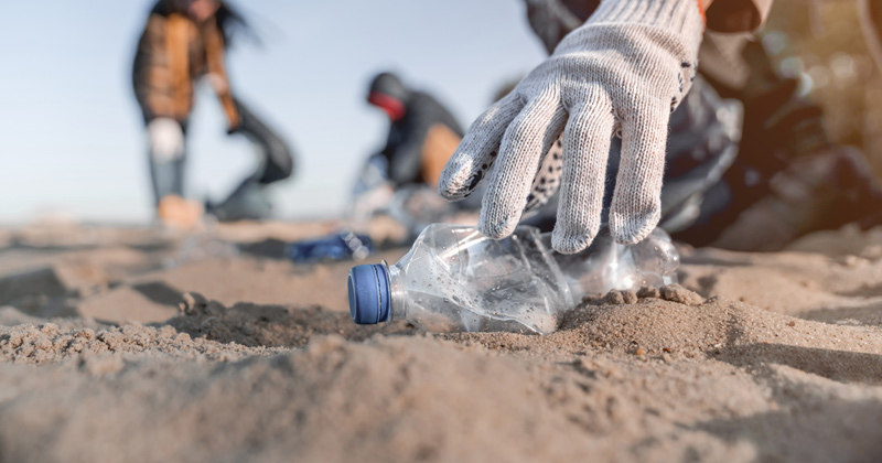 Finding a solution to plastics pollution that will work in the lab and at scale in the real world will take a diverse team of innovative individuals with expertise and wide adoption by the public.