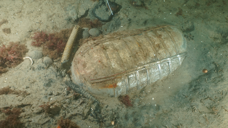 An aluminum oxygen cylinder and hose that were once part of the life support system of the B-24 are now buried in the seafloor. 