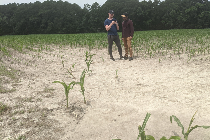 Manan Sarupria (right) and Matthew Walter, both doctoral students in UD’s Department of Geography and Spatial Sciences, traveled to farms in Maryland recently to study how cropland in coastal areas around the Chesapeake Bay are being impacted by spots of salty, barren soil. 