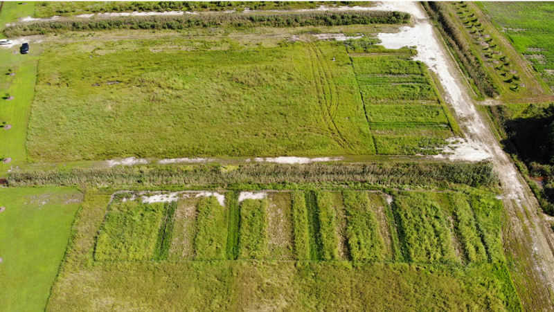 Salt patches can be seen encroaching on farmland. 