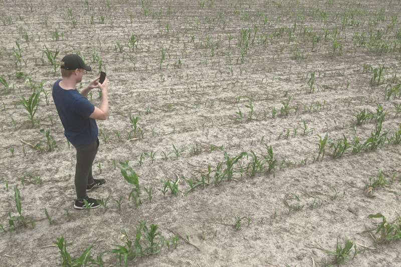 Seeing how the salt patches impacted farmland in person will help the researchers train a machine learning algorithm that will use current and historical satellite data to paint a better picture of the history and extent of these patches throughout the region. Seeing how the salt patches impacted farmland in person will help the researchers train a machine learning algorithm that will use current and historical satellite data to paint a better picture of the history and extent of these patches throughout the region.