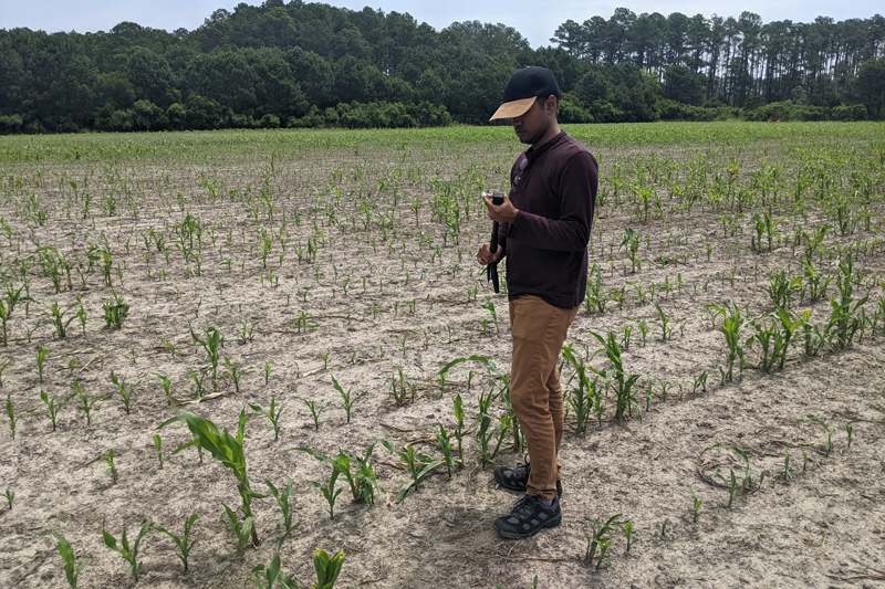 Manan Sarupria’s research will use Sentinel satellite images to get a more frequent estimation of salt deposits as well as a better understanding of the mechanism behind those salt deposits. 