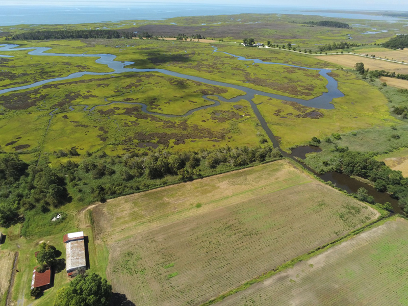 Aerial view of farm near Chesapeake Bay. Usually estuaries drain the water from the farms to the ocean, but when a high tide occurs or when the sea level is rising, instead of draining towards the ocean, saltwater is now moving the other direction, into the farms. Usually estuaries drain the water from the farms to the ocean, but when a high tide occurs or when the sea level is rising, instead of draining towards the ocean, saltwater is now moving the other direction, into the farms.