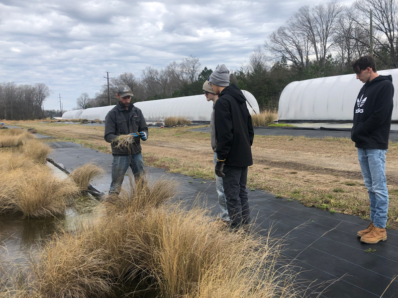 Students from Delaware Technical Community College learned how to implement, design, construct and maintain green infrastructure projects as part of the Delaware Sea Grant (DESG) Green Infrastructure Internship Program. As part of the internship, the students visited Delmarva Native Plants nursery where they learned about the importance of native plants. 